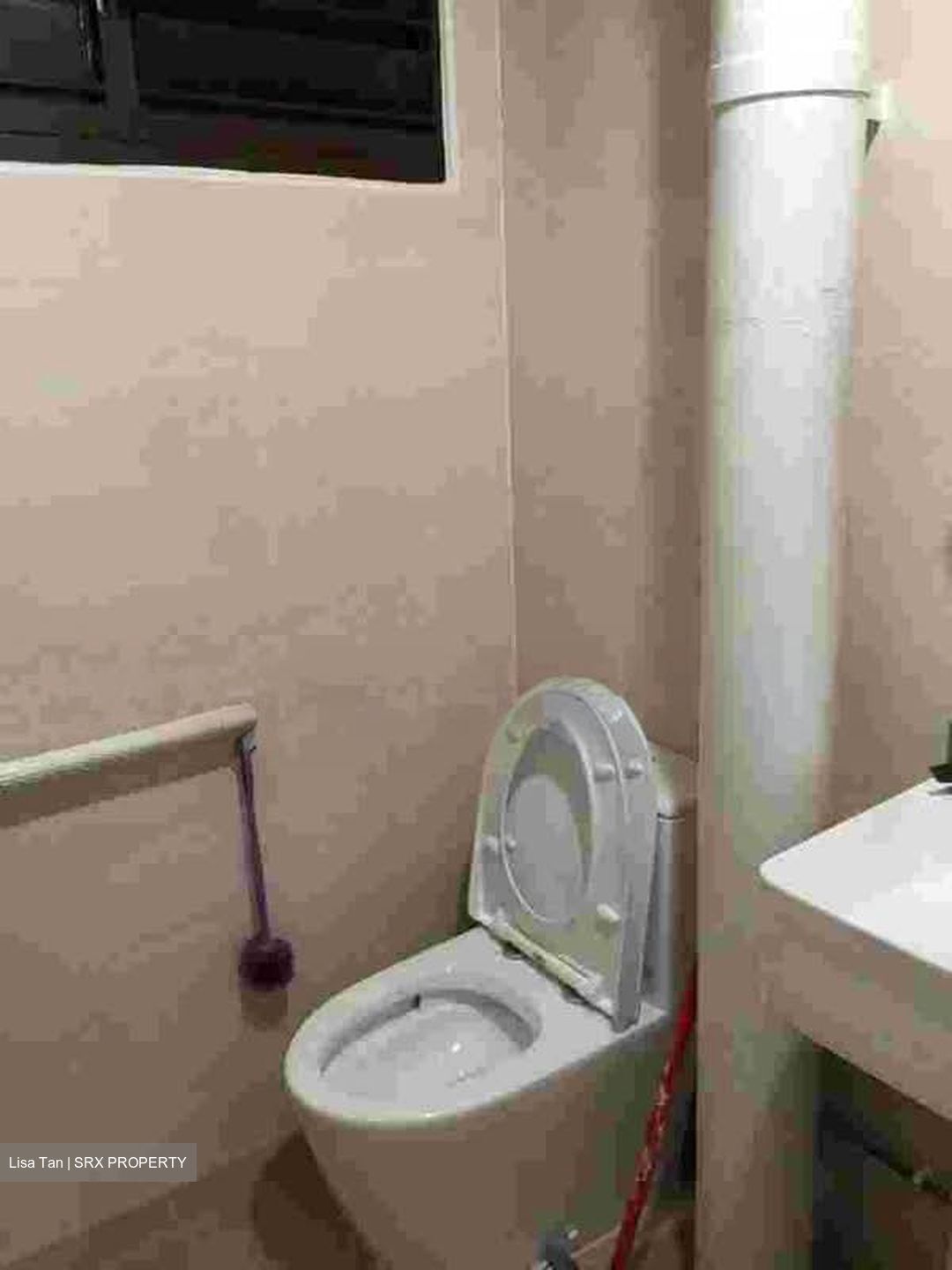 Blk 879 Tampines Spring (Tampines), HDB 4 Rooms #603626141